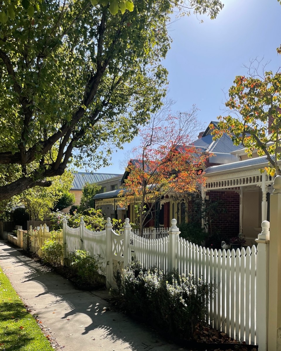 Fencing projects by Westsite Build Co. — photo 4