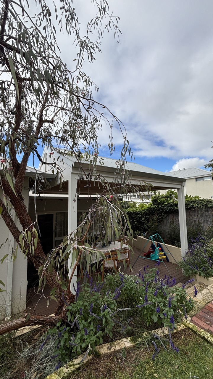 Patio and pergola projects by Westsite Build Co. — photo 18